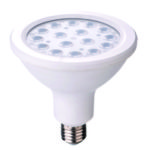 LED Lamp Par 30 13 watt E27 6400k