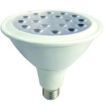 LED Lamp Par 38 16 watt E27 6400k