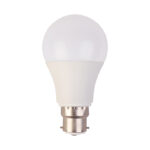 LED Lamp 19 watt B22 6400k