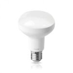 LED Lamp R80 10 watt  E27 6400k