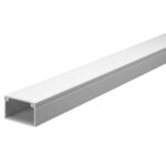 Trunking 50*30